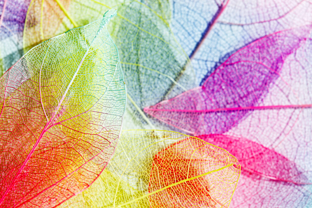 Macro photograph of colorful overlapping translucent leaves showing delicate veins and gradient colors in yellow, green, blue and pink